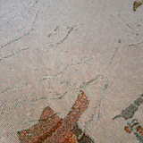 The TK x Salty Aura Rug