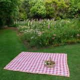 The Red Gingham Rug