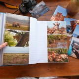 Wandering Photo Album