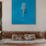 Digital Prints - Landscapes Australia